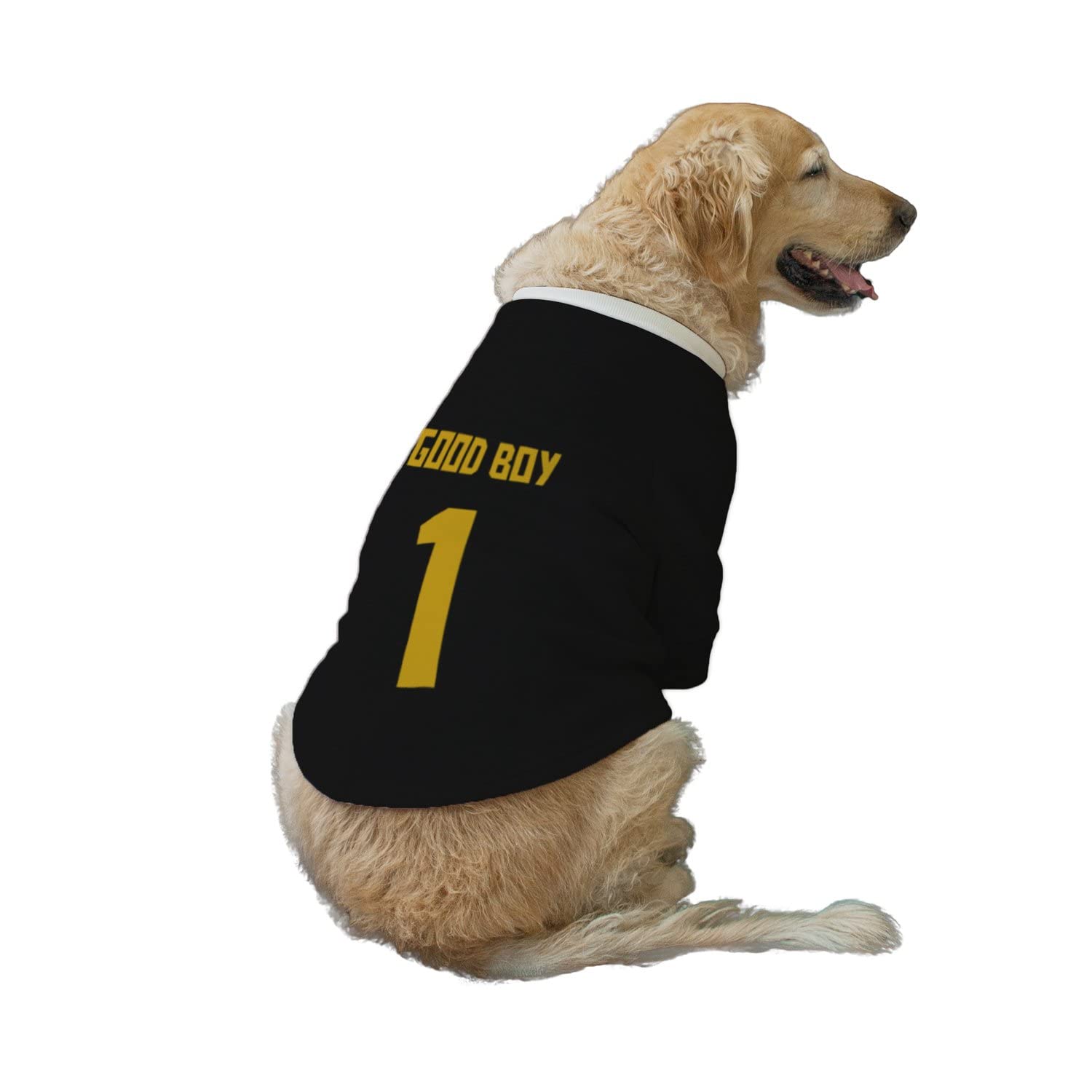 Ruse Pet Good Boy No.1 Printed Round Neck Full Sleeves Technical Dog Jacket for Dog Clothes Winter Apparel Gift for Dogs.Jade Black/Medium(Chubby Pugs, Beagle etc.) (B09MNJHLPQ) Amazon Price History, Amazon Price Tracker