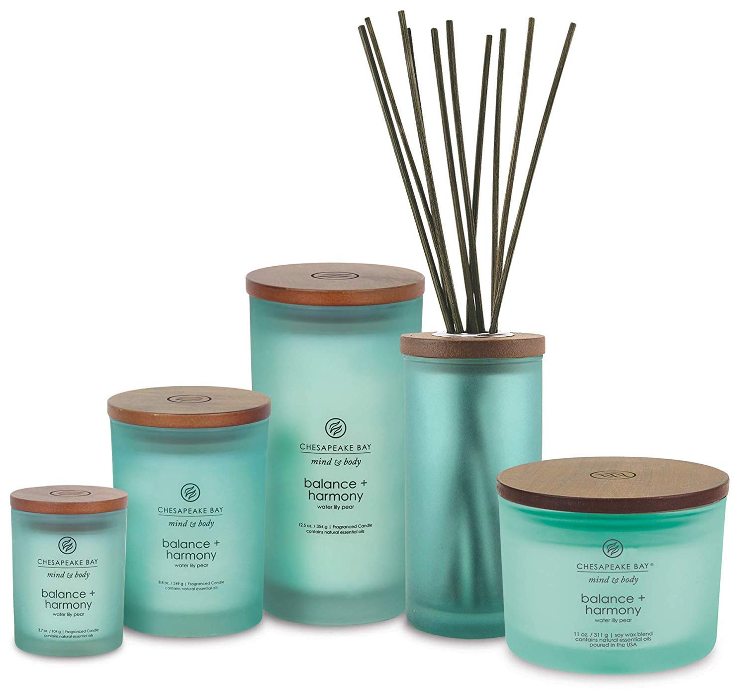 Chesapeake Bay Candle Vela aromática de menta y cuerpo, equilibrio + armonía (perla de lirio de agua), tamaño mediano, color azul