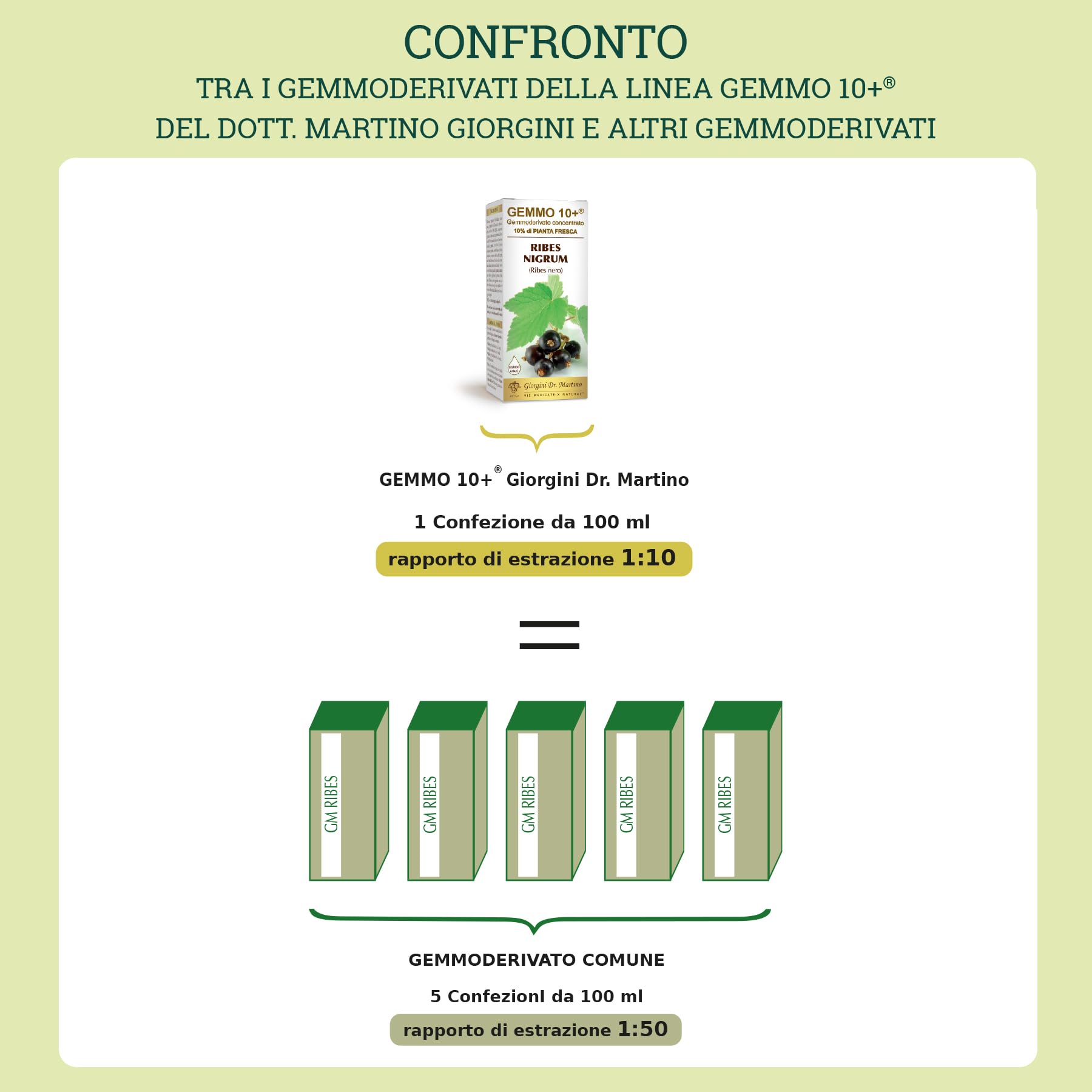 Dr Giorgini Integratore Alimentare, Olivo Gemmoderivato Concentrato Liquido Analcoolico - 500 ml