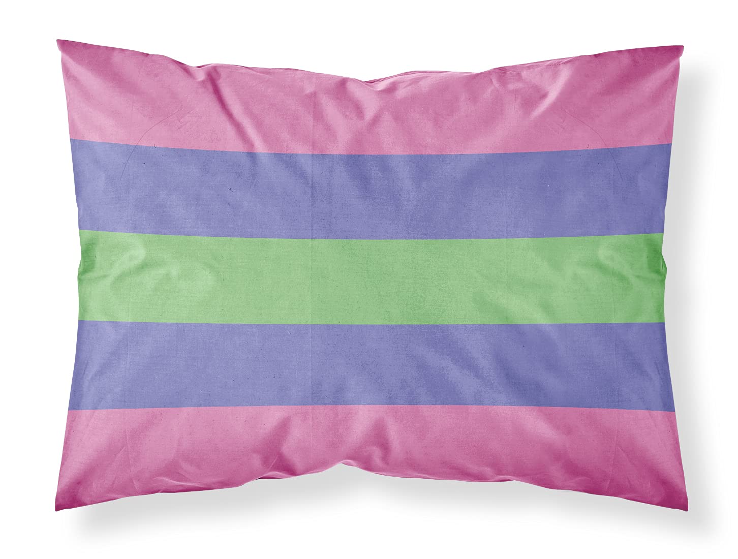 Taies d oreiller Trigender Pride Caroline s Treasures multicolores standard