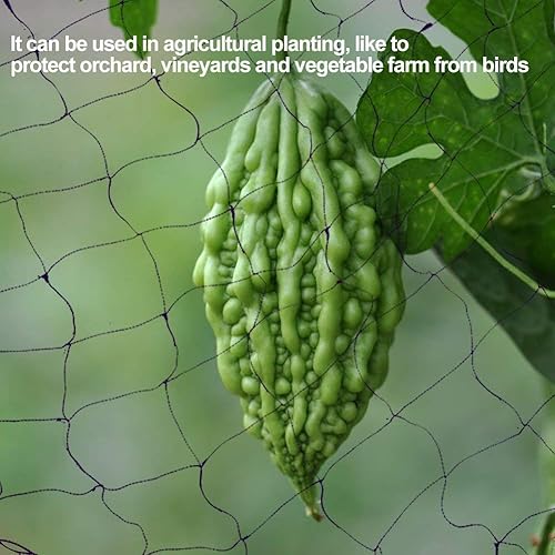 Miniatura 4 de Red antipájaros, red de jardín de malla de 50 x 100 pies, red de aves de corral para árboles frutales, red de nailon para aves de corral, aves de