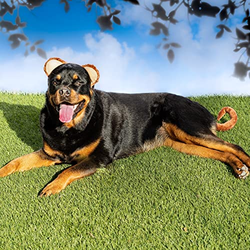 Disfraz de Mono para Perro Mediano con Orejas y Cola miniatura 6