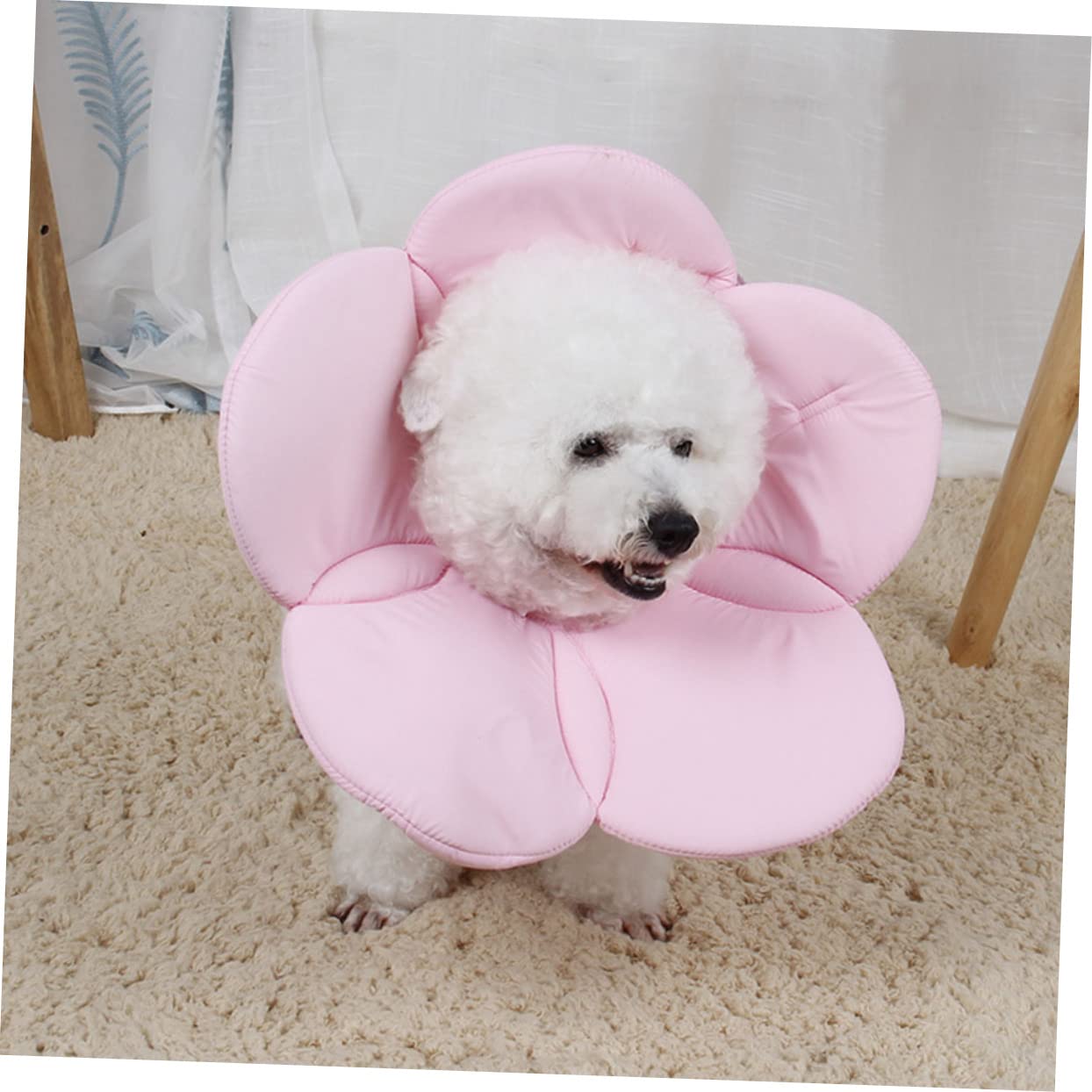 Toddmomy Collier Élisabéthain Forme De Fleur pour Chiens Et Chats Collerette De Anti-léchage Rose