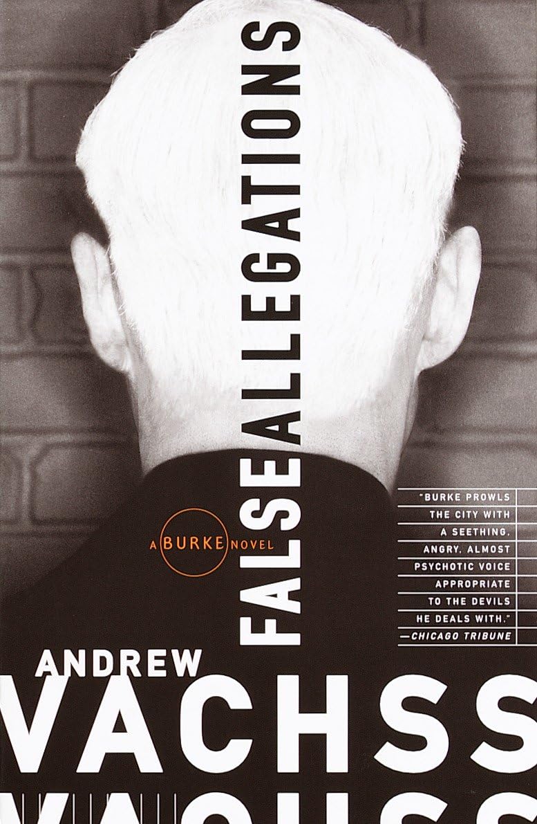 False Allegations: A Burke Novel: 9 (Burke Series)