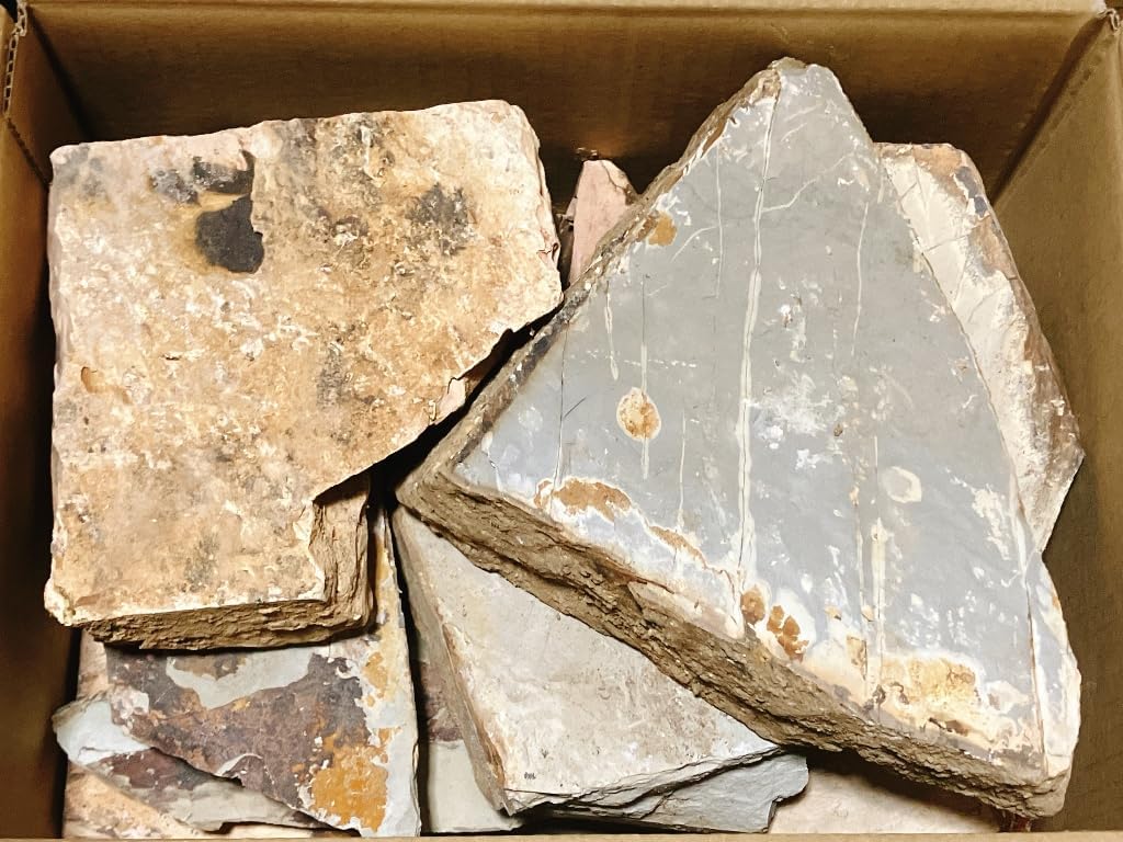 LALIQUE フクロウ オパールセント LALIQUE ラリック ニクタル オパール