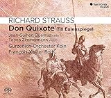 R.�V���g���E�X:�h���E�L�z�[�e�A�e�B���E�I�C�����V���s�[�Q���̖����Ȉ��Y�A���}���X