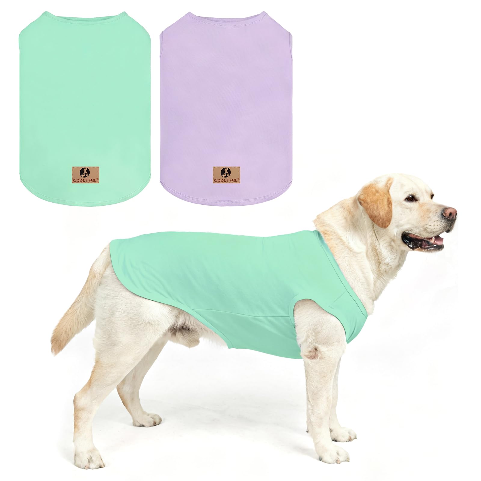 T-shirt chaud en coton pour chien idéal pour les sorties en plein air