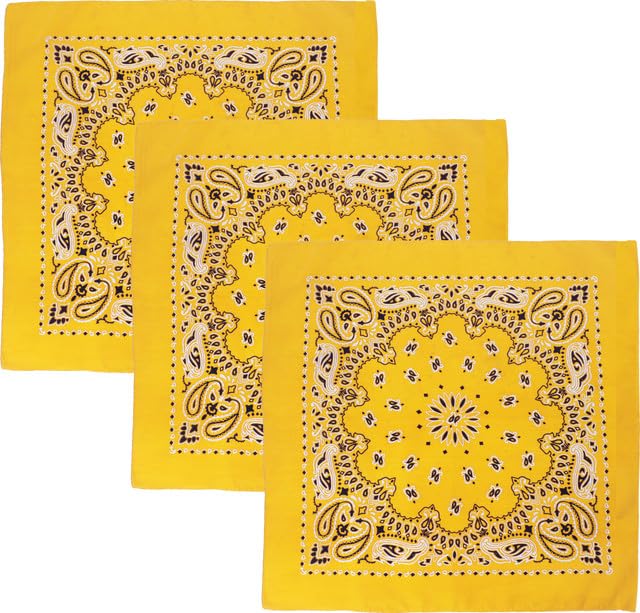 Trainmen Paisley 27 Jumbo Military Bandana Head Scarf Do-rag 100 Cotton Bandanna Face Cover 3-Pack