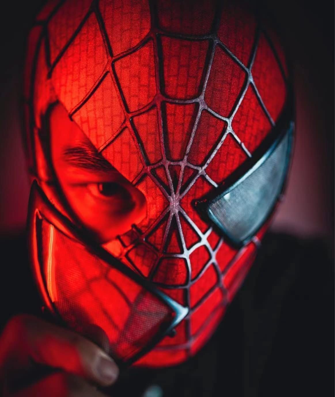 Spider Hero Cosplay Mask with Removable Lenses, Stretch Fabric Full Face