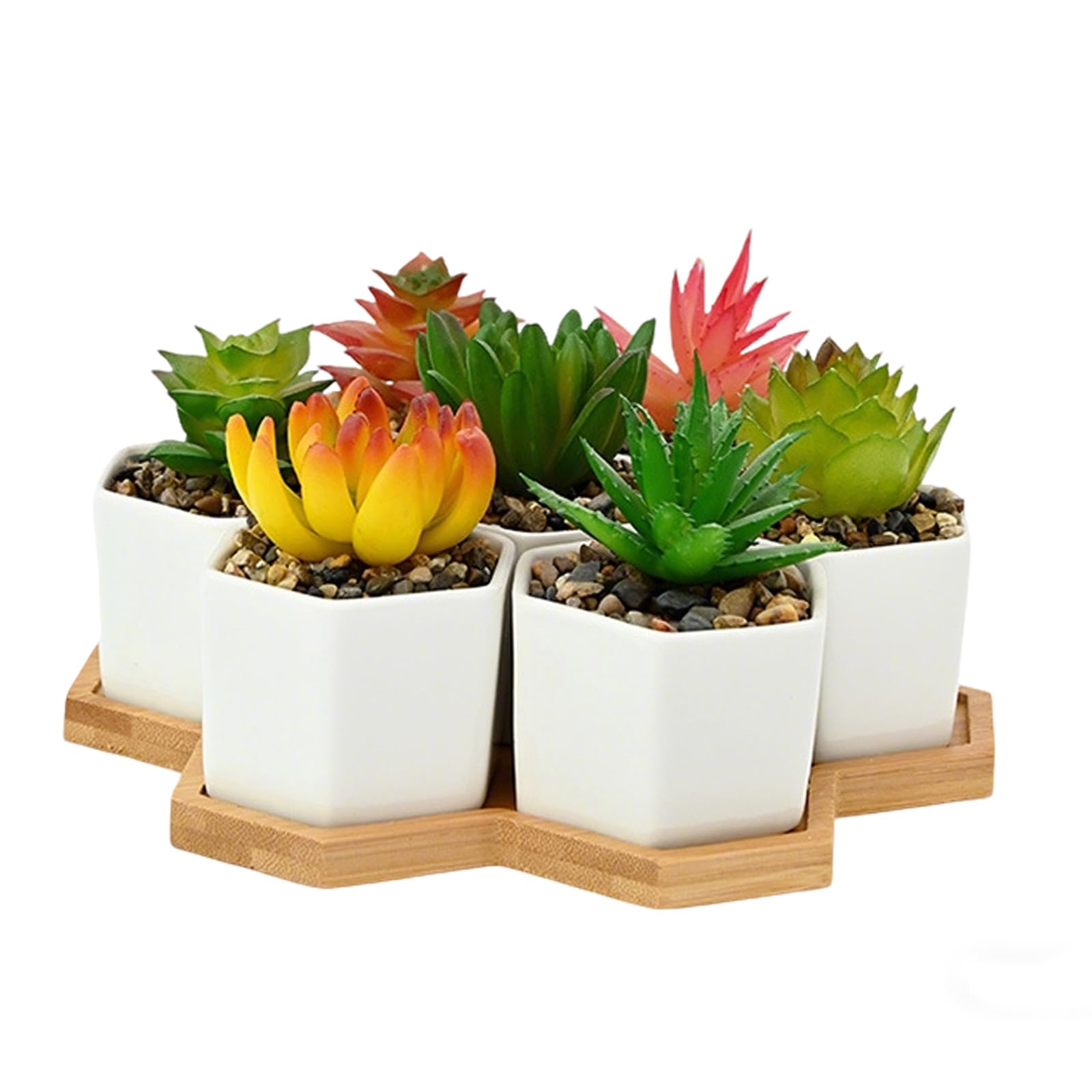 Pots de fleurs succulentes pour décorer votre bureau et salon lumineux