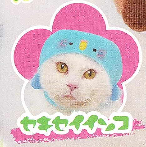 Amazon セキセイインコ (かぶって! 鳥さんコスチューム にゃんこ用