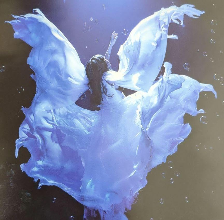 Aimer 誰か、海を。　ポスター Amazon.co.jp: Aimer ポスター 誰か海を EP レア : ホビー