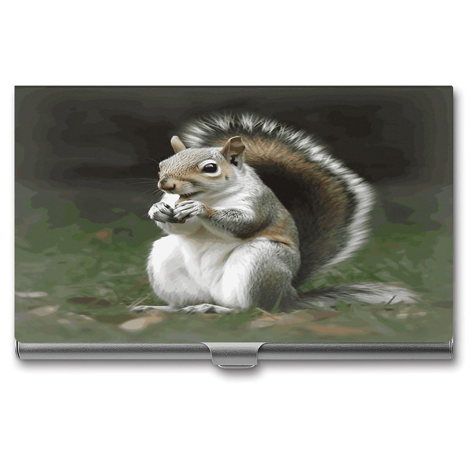 LDGSUPH Squirrel Business Card Holder Fashion Slim Name Card Holder Minimalist Design Case Metal Card Carrier Personalized Business Card Case with Flip for Men Women