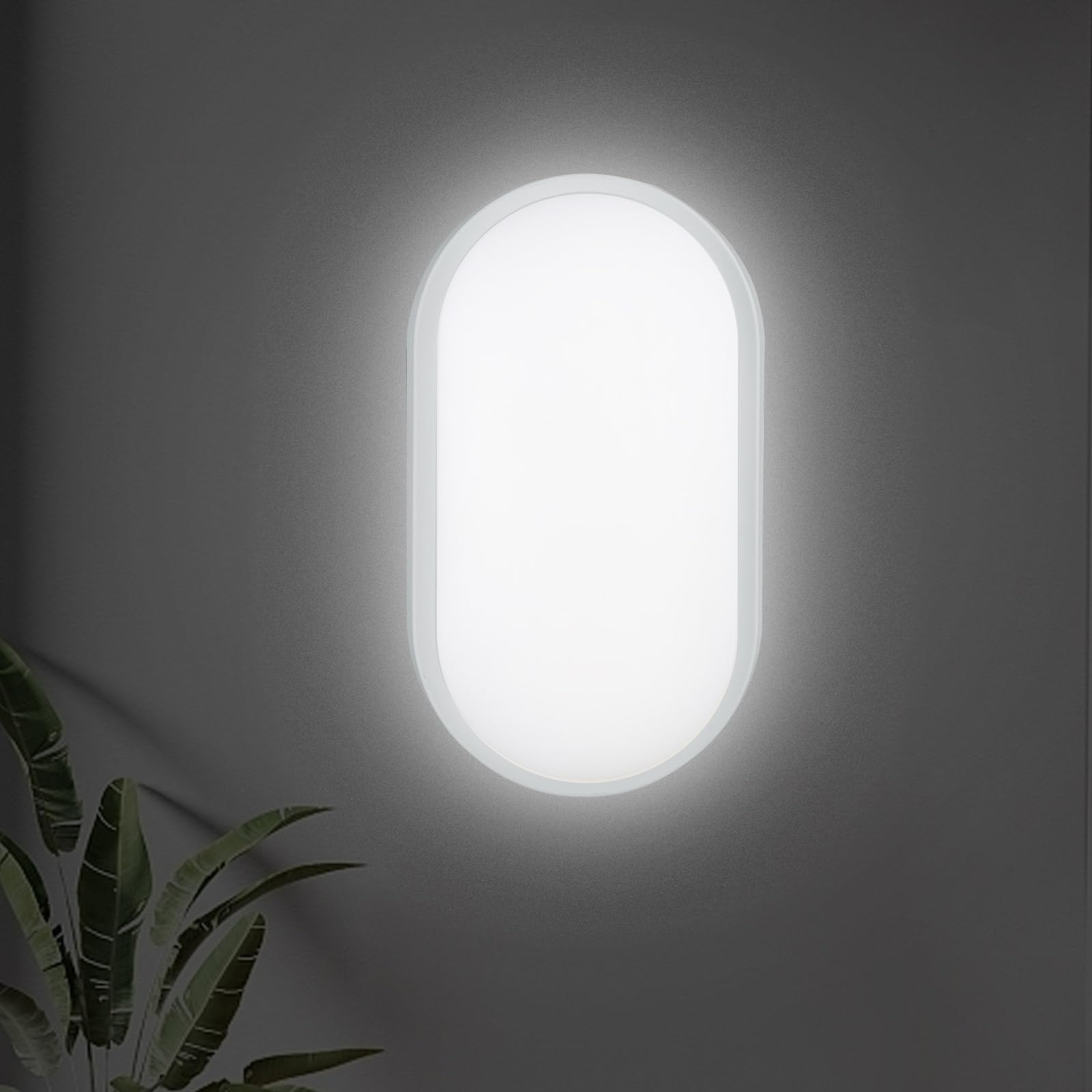 M EGA MEGACUBE 18W LED Wall Light, 4000K IP65 Oval Bulkhead Light Fitting with Grey Trim for Indoor, Outdoor, Bath, Office, Hallway, Corridor, Utility, Garden, Shed, Workshop, Patio etc