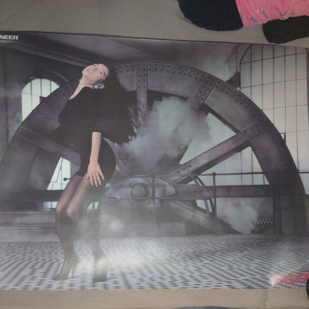 中森明菜 ポスター プライベート Private パイオニア pioneer 中森明菜