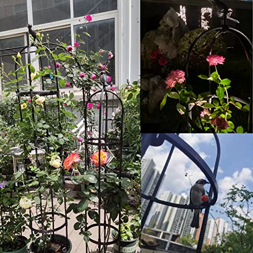 1 Pcs Obelisk Trellis,6 Ft Garden Trellis For Climbing Outdoor Plants,Tall Rustproof Coated Metal Plant Support,With Plant Clips Tie Wire Roll (1Pcs-6Ft) #TOP3