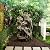 Alpine Corporation WIN1398 53" Cascading Willow Tree Fountain with Cool White LED Lights – Serene Outdoor Waterfall Water Feature for Garden & Patio Décor