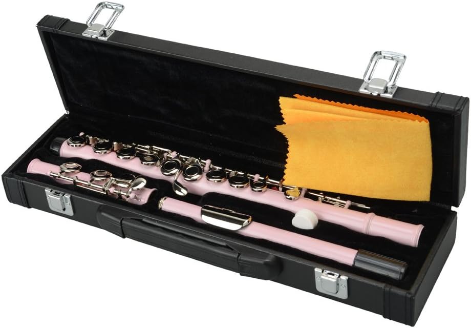 Closed Hole C 16-Key Flutes for Beginner,Flute Set with Case, Cleaning kit (Pink)