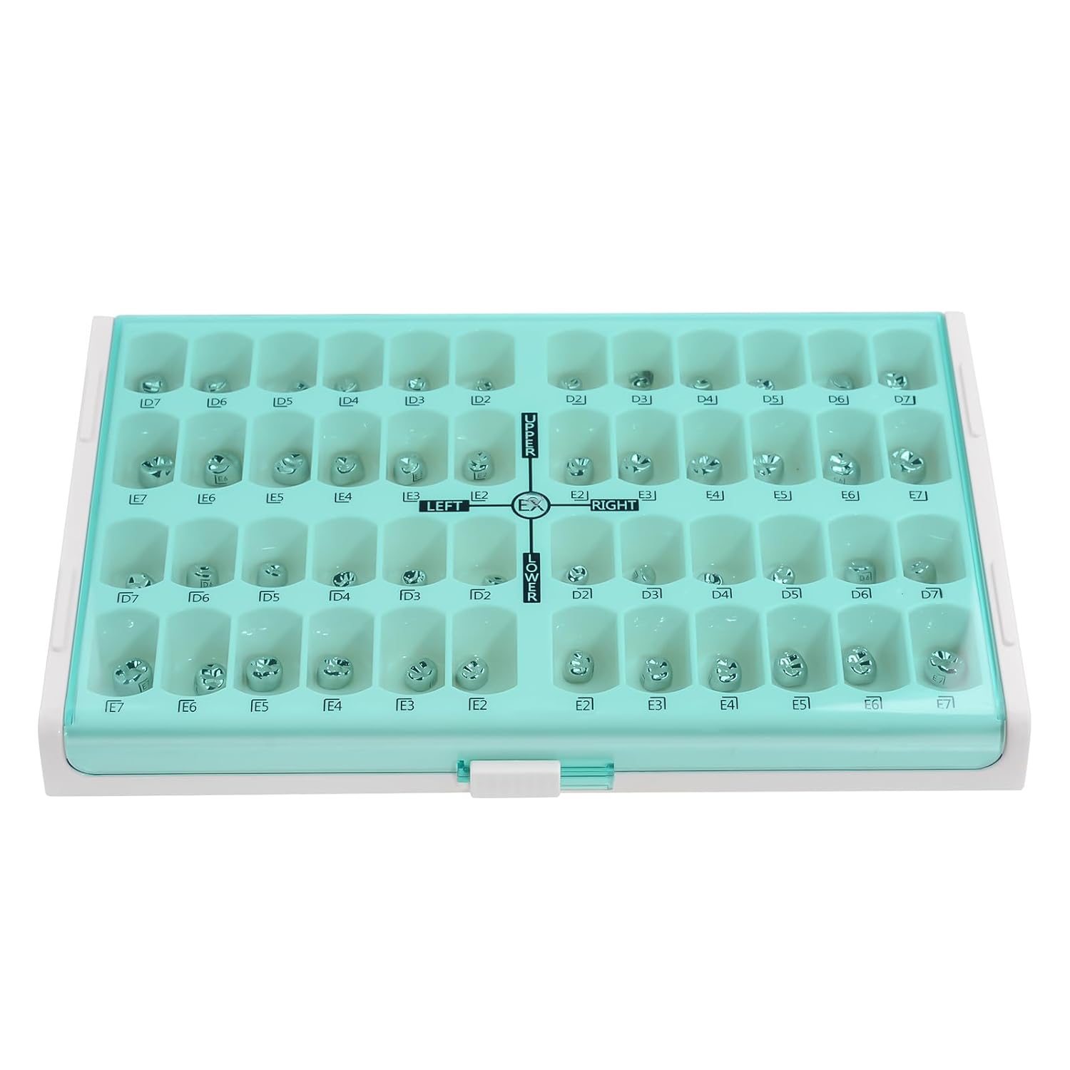 REEHUT Kid Preformed Teeth Crowns Preformed Metal Crown Stainless Steel Crowns 48 Different Sizes Crowns Digital Identification Size