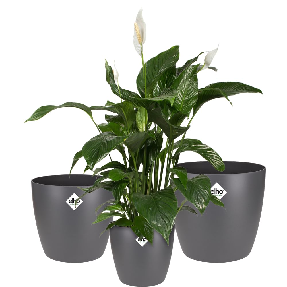 Elho Anthracite Brussels Round Plant Pots - Flower Pots Indoor - 100% Recycled Plastic - Set Of 3 - Ø 16, 18, 20 Cm - Black