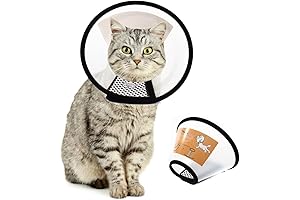 Adjustable E-Collar for Kittens: Prevent Biting and Licking After Surgery