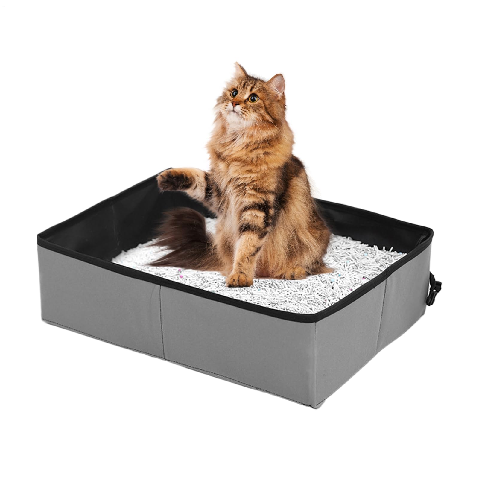 Lettiera da viaggio per gatti | Trasportatore portatile per gatti – Lettiera compatta per i viaggi con gatti e auto campeggio