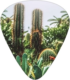 Tropical Plants Guitar Picks 12 Pack Bass Picks with Organizer Box Guitar Plectrum Includes Thin Medium Heavy Guitar Picks Ukulele Picks for Bass Acoustic Electric Guitars