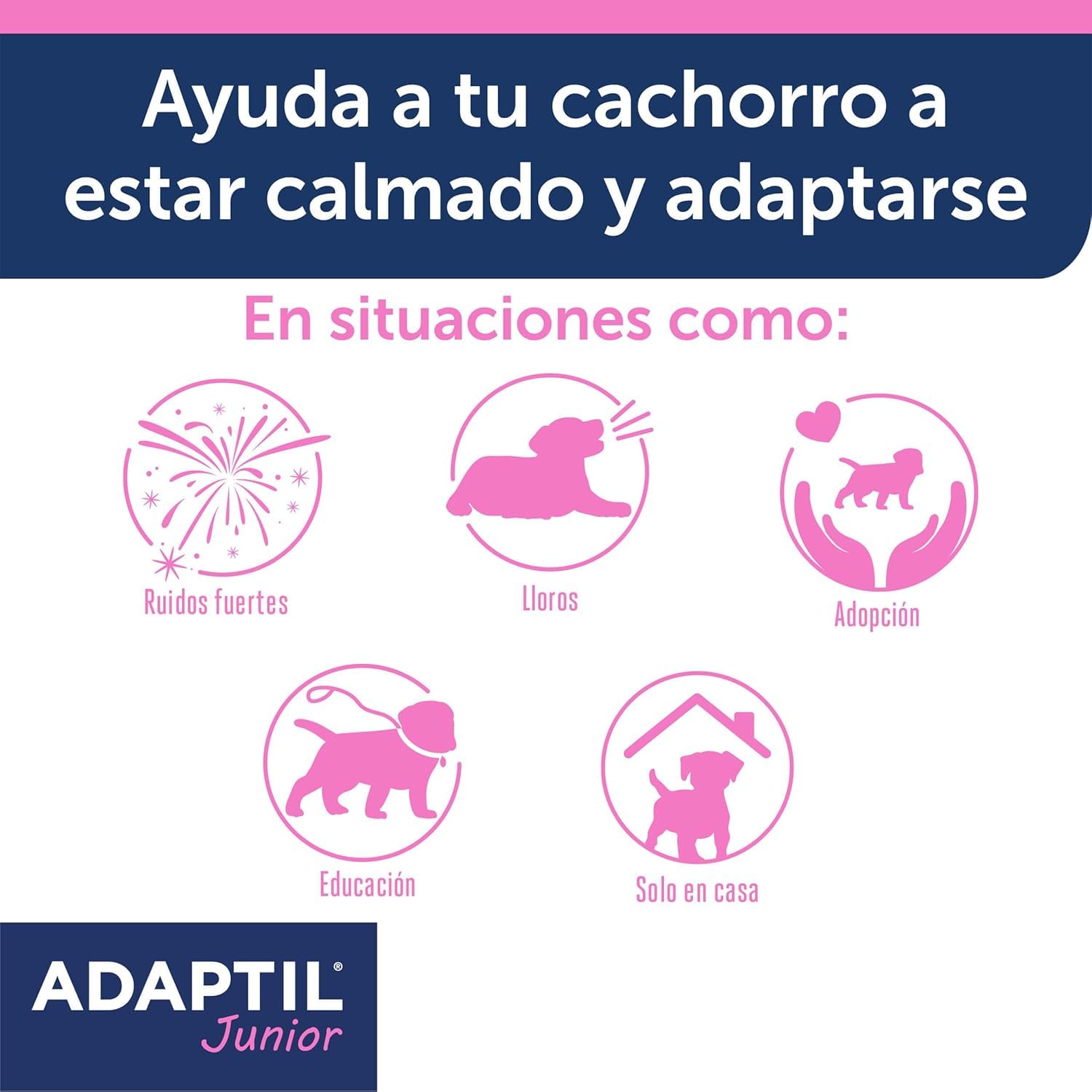 Adaptil Pack Antiestrés para Cachorros - Collar Junior + Spray Transport 60 ml - Calma y Seguridad - Reduce Miedos y Ansiedad - Ideal para Adaptación, Aprendizaje y Viajes