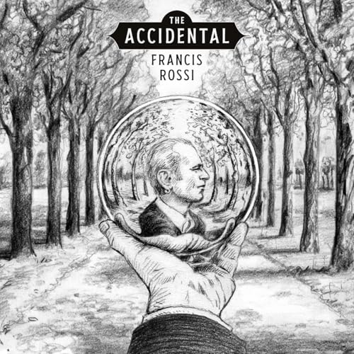The Accidental [VINYL]