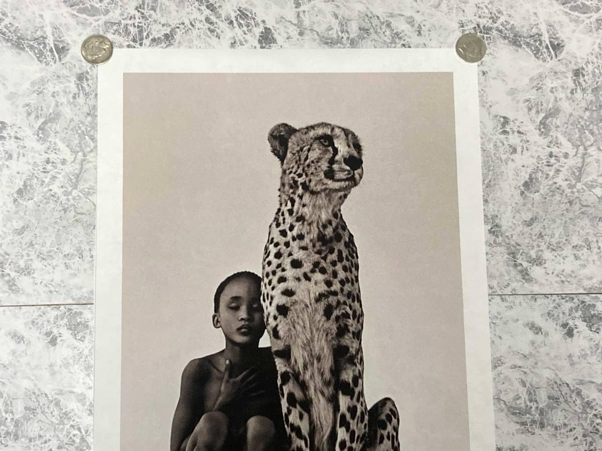 Amazon.co.jp: 「グレゴリー・コルベール/Ashes and Snow 少年と