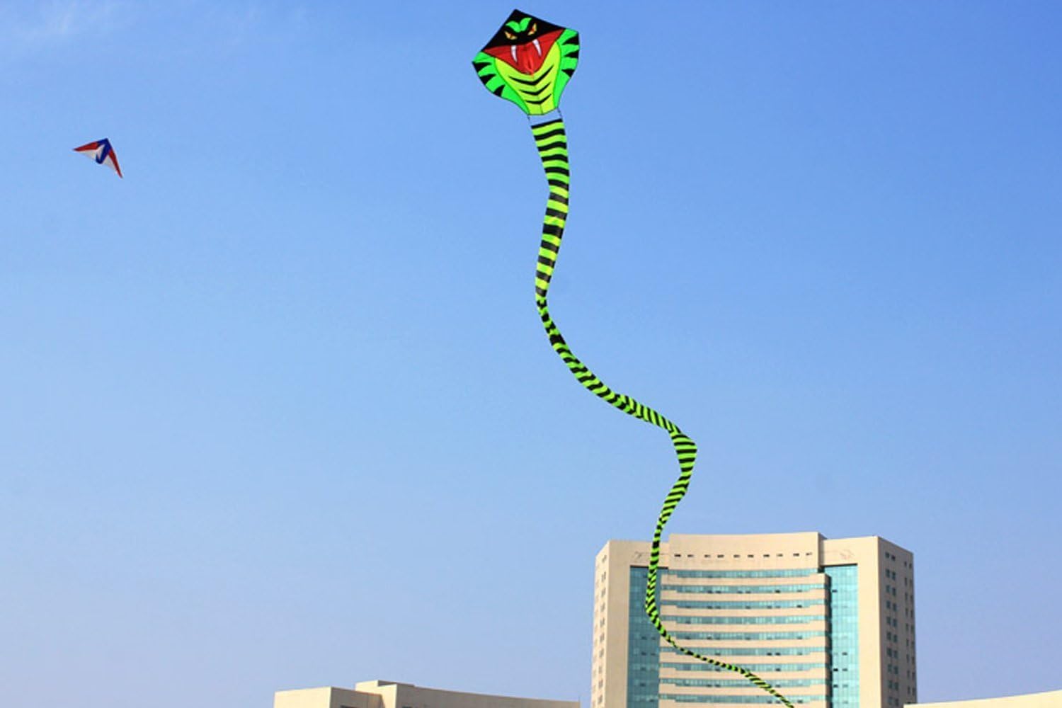 HENGDA KITE 49ft Large Power Snake Kites for Kids & Adults, with Flying Line Outdoor Fun Sports Kite