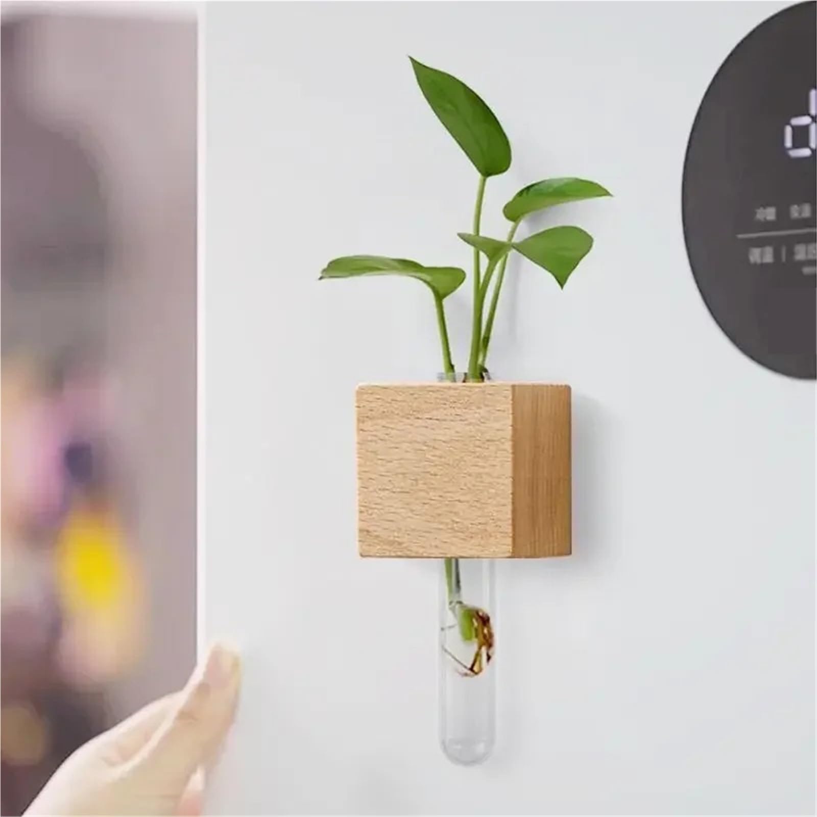 Wandvase Reagenzglas-Hydrokulturvase | Kühlschrank Home Decor Wohnzimmer Wand magnetische Vase(2pcs)