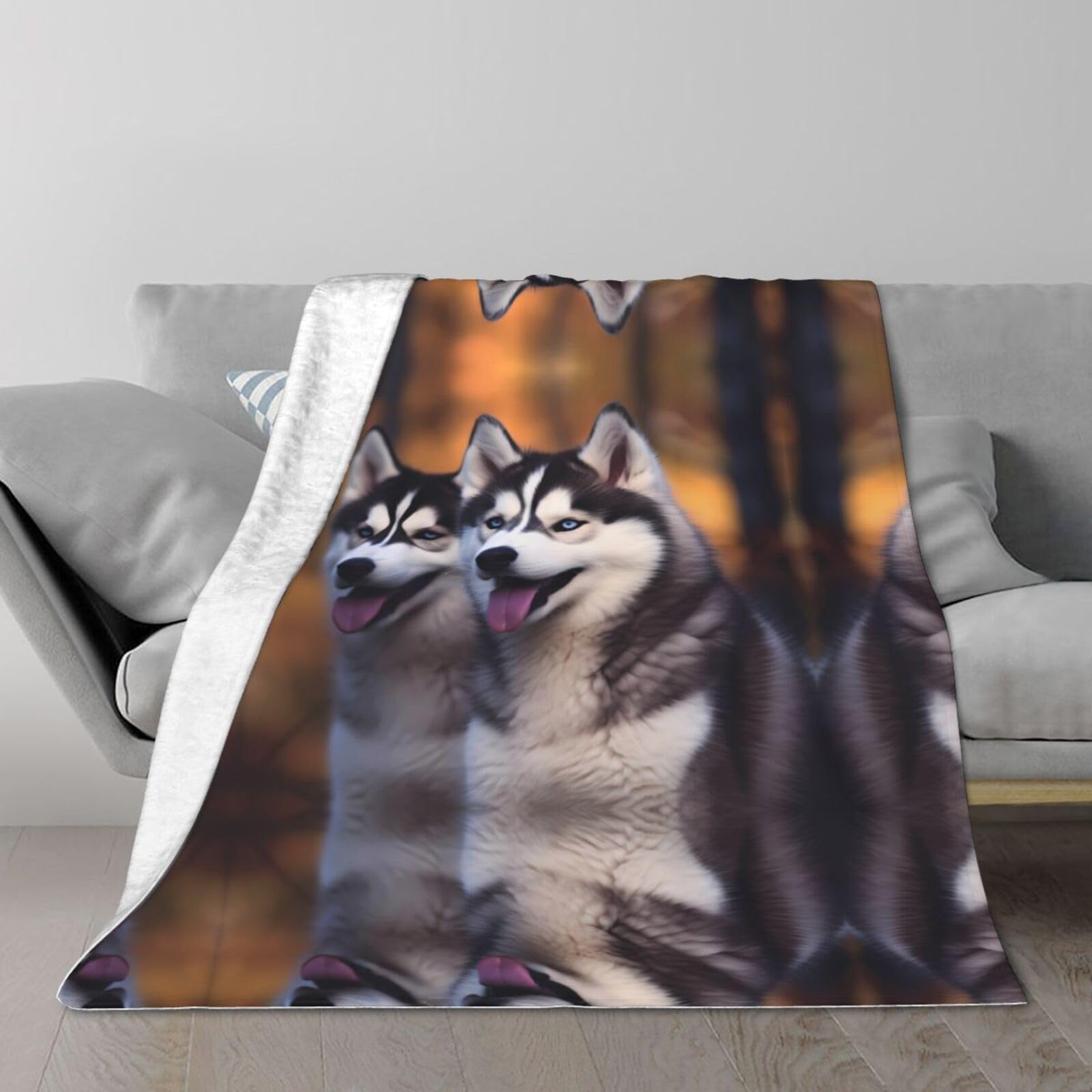 Couverture imprimée husky grand plaid peluche lit et canapé voyage