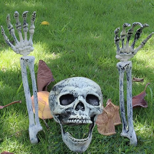Calavera, Toy Estacas de Esqueleto de Halloween, Estacas de Esqueleto de Aspecto Realista Decoración de Cementerio de Halloween Cabeza y Brazos de Esqueleto Cementerio,...
