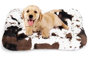 Best Puppy Beds for Small Dogs, Washable for Crate