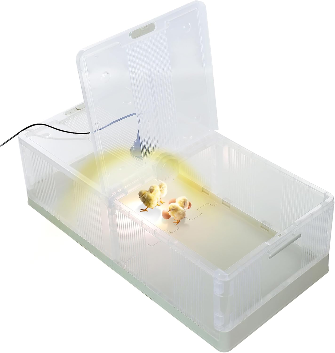 Large Transparent Chicken Brooder Box Chick Incubator Tortoise Habitat,30-50 Indoor Chicken Coop Chicken Tractor Quail cage,31.5inch Chick Brooder Kit