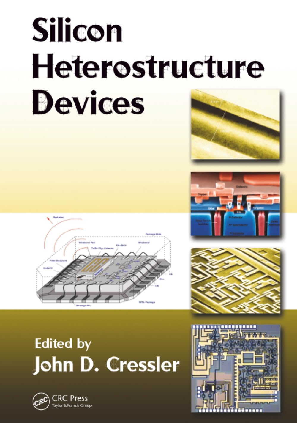 Silicon Heterostructure Devices