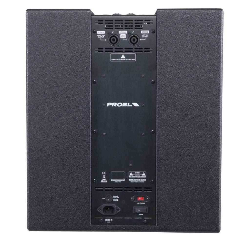 Proel SESSION4 - Sistema audio array a colonna 1200W di picco, con modulo MP3 USB SD e bluetooth stereo, Nero