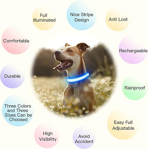 Miniatura 3 de YFbrite Collar de perro con luz, collar de perro LED recargable, collar de perro intermitente, collar reflectante ajustable para perro de seguridad