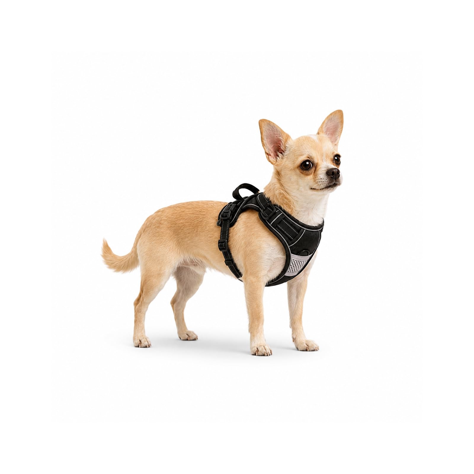 Dog Harness Small Dog, No Pull Dog Harness with Front Clip, Reflective Anti Pull dog harnesses, No Choke Pet Vest with Skin-Friendly Handle & Breathable Mesh, Black, XS โ image 1