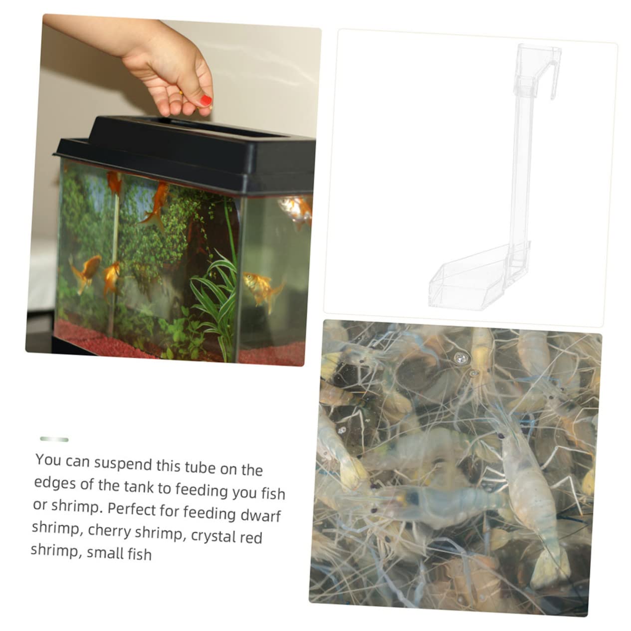 BESPORTBLE 3piezas Alimentador Acuario De Acrílico para Camarones Comedero Sinking para Peces Diseño Conveniente y Duradero para Acuarios y Peceras Fácil Instalación Ventosas Sin