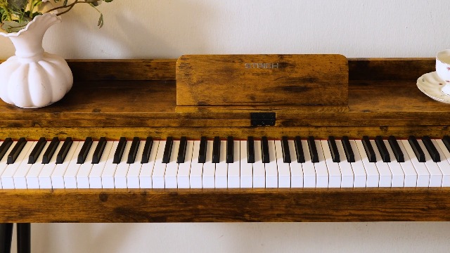 Amazon.com: STRICH 88 Key Digital Piano, Hammer-Action Weighted