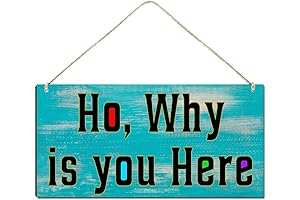 Humorous Porch Sign with Festive Holiday Greeting: "Ho Ho Ho, Why Is You Here?"