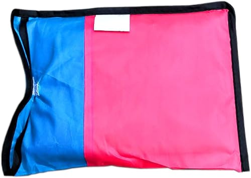 Miniatura 7 de Kite Mollusc Pultopus Kite Paquete de 2 piezas de cola larga colorida fácil de volar cometas para niños de 4 a 8 años y cometas para adultos con 2