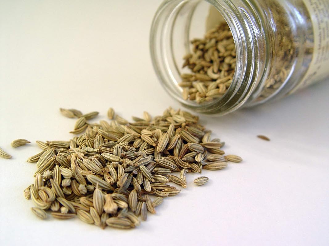 VEXA NATURALS Saunf Powder (Fennel Seed Powder) | Aromatic & Sweet |100gm - Image 6 thumbnail