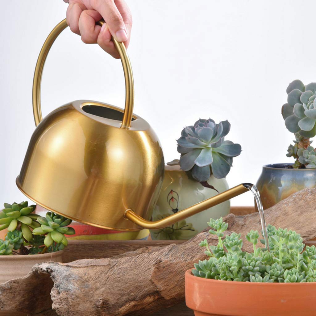 Annaffiatoio In Acciaio Inox Da 1,5 Litri: Beccuccio Lungo Per Innaffiare Con Precisione!