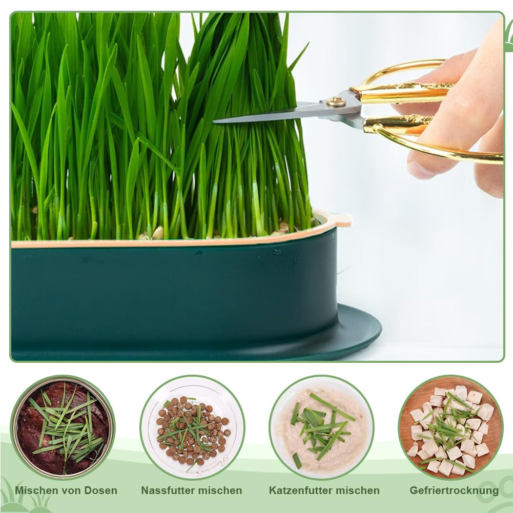 Set Coltivazione Germogli - Vassoio Con Fori Di Drenaggio, 26x26x13 Cm, Per Erba Di Gatto E Semi Medici - Foto 6