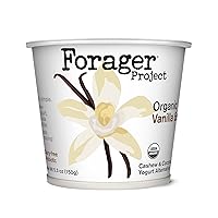 Algopix Similar Product 4 - Forager Project Cashewmilk Yogurt