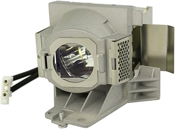 Replacement Projector Lamp 