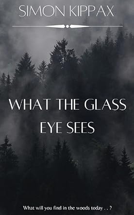 What the Glass Eye Sees